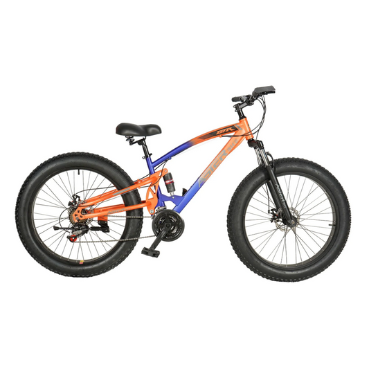 ASTER 26 Inches 21 Gear Steel Frame Mountain Bicycle