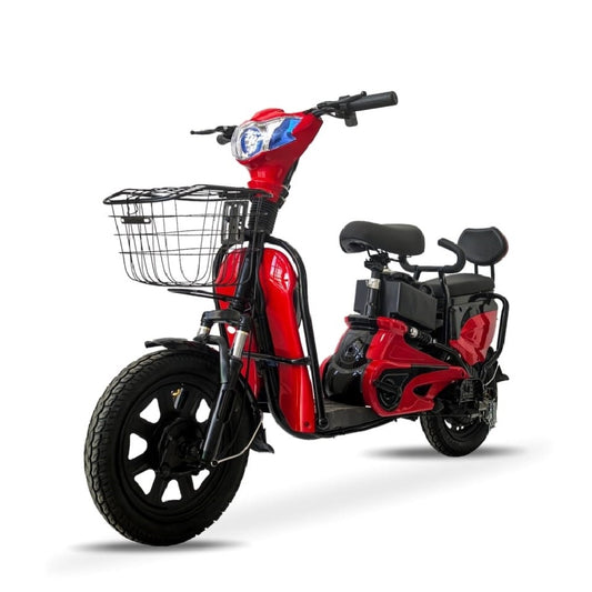 M2 Two Seater Delivery Bike/E-Bike with Tubeless Tires