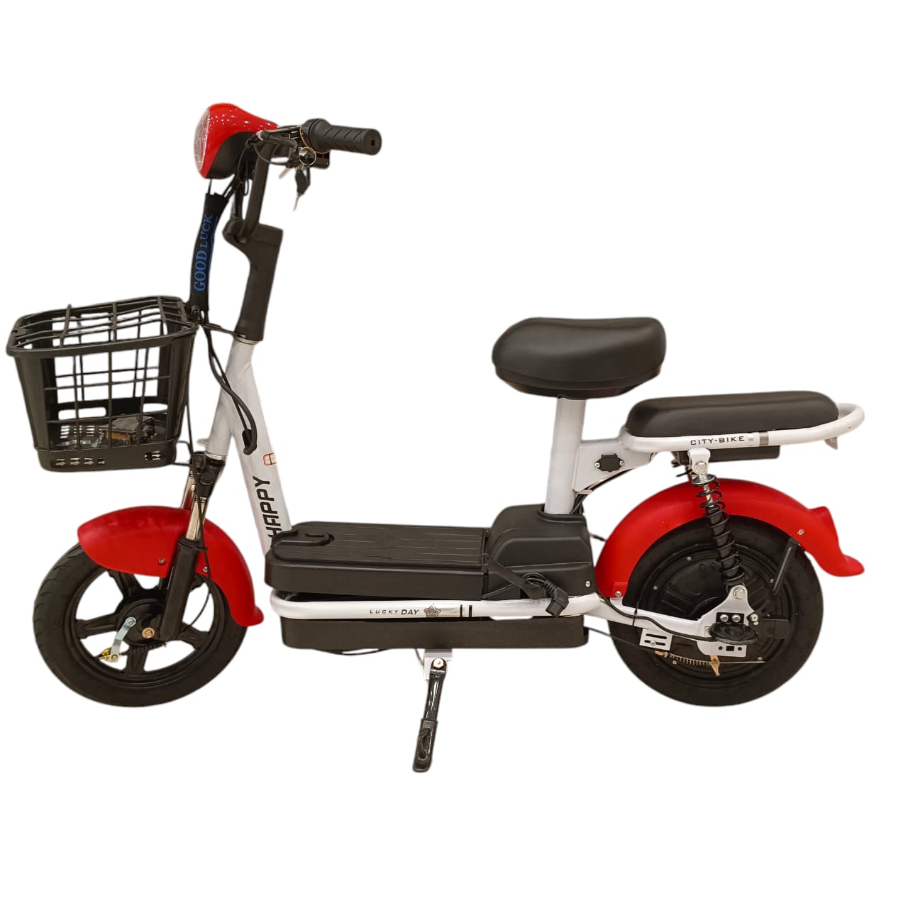 W4 Two Seater Pedal Assisted E-Bike with Front Basket