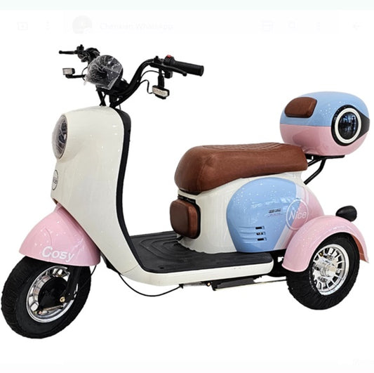 Tri-Wheel 2 Seaters Cute Mobility E-Bike with Luggage Box