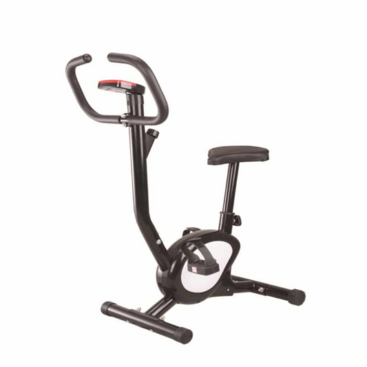 GIGILHUB C20 Compact Size Exercise Bike