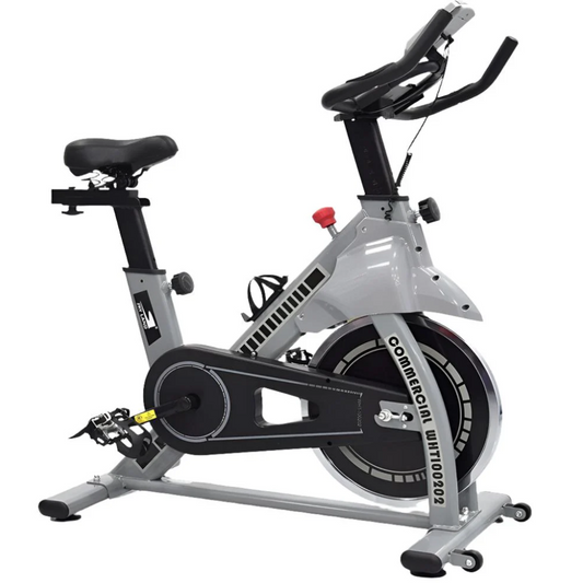 SkyLand EM-1560 Home Fitness Exercise Bike